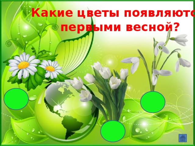 Какие цветы появляются первыми весной? 