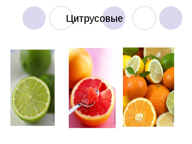 Цитрусовые 