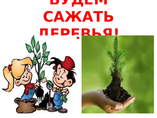  БУДЕМ САЖАТЬ ДЕРЕВЬЯ! 