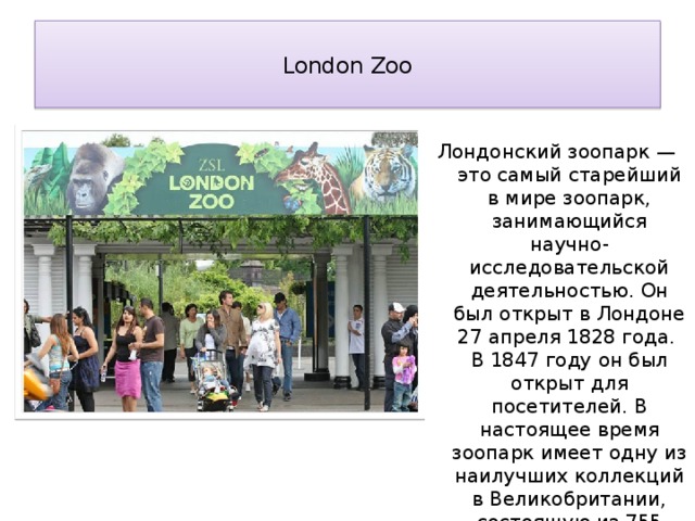  London Zoo   Лондонский зоопарк — это самый старейший в мире зоопарк, занимающийся научно-исследовательской деятельностью. Он был открыт в Лондоне 27 апреля 1828 года. В 1847 году он был открыт для посетителей. В настоящее время зоопарк имеет одну из наилучших коллекций в Великобритании, состоящую из 755 видов животных, представленных 15 104 особями. 