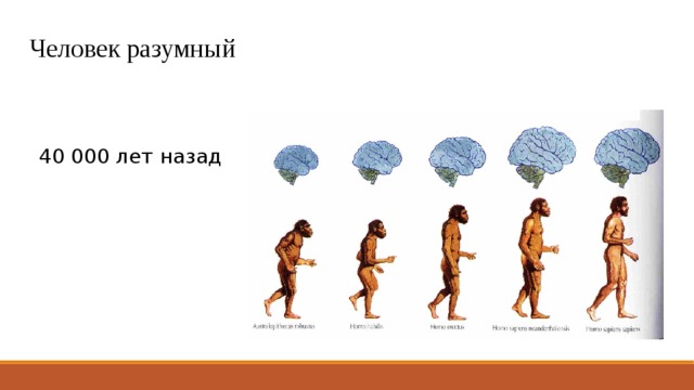 Человек разумный 40 000 лет назад 