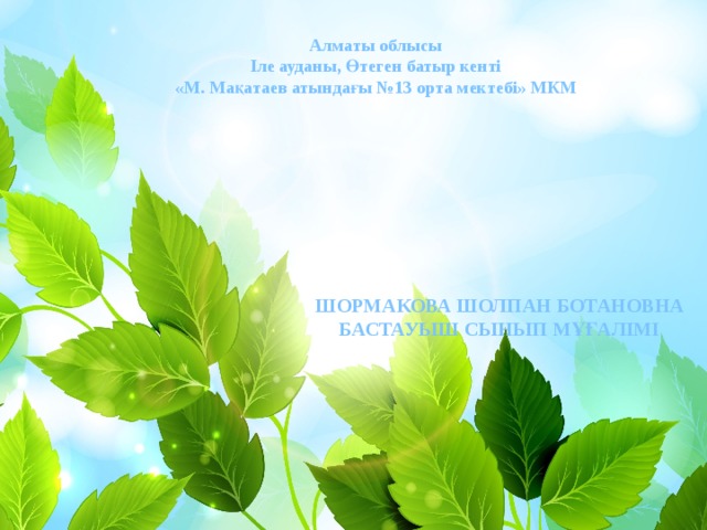  Алматы облысы Іле ауданы, Өтеген батыр кенті «М. Мақатаев атындағы №13 орта мектебі» МКМ ШОРМАКОВА ШОЛПАН БОТАНОВНА БАСТАУЫШ СЫНЫП МҰҒАЛІМІ 