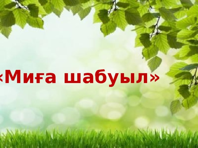 «Миға шабуыл» 