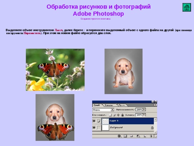 Обработка рисунков и фотографий  Adobe Photoshop Создание простого монтажа    Выделяете объект инструментом Ласс о , далее берете - и переносите выделенный объект с одного файла на другой (при помощи инструмента Переместить ). При этом на новом файле образуется два слоя.          