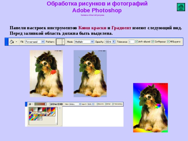 Обработка рисунков и фотографий  Adobe Photoshop Заливка областей рисунка   Панели настроек инструментов Ковш краски и Градиент имеют следующий вид. Перед заливкой область должна быть выделена.        