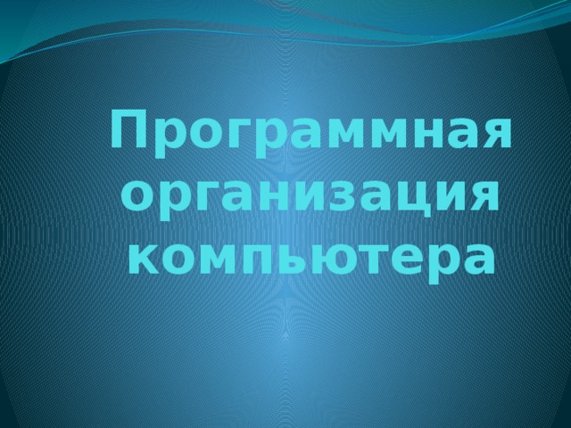 Программная организация компьютера 