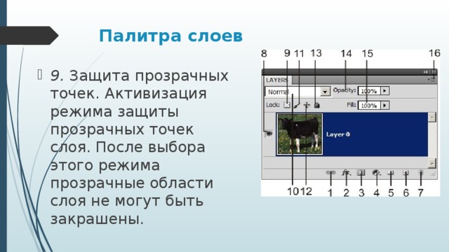 Палитра слоев 9. Защита прозрачных точек. Активизация режима защиты прозрачных точек слоя. После выбора этого режима прозрачные области слоя не могут быть закрашены. 