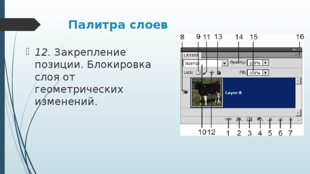 Палитра слоев 12. Закрепление позиции. Блокировка слоя от геометрических изменений. 