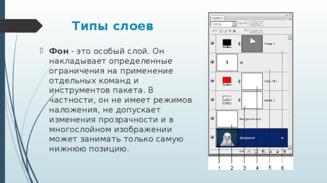Типы слоев Фон  - это особый слой. Он накладывает определенные ограничения на применение отдельных команд и инструментов пакета. В частности, он не имеет режимов наложения, не допускает изменения прозрачности и в многослойном изображении может занимать только самую нижнюю позицию. 