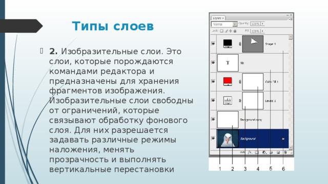 Типы слоев 2. Изобразительные слои. Это слои, которые порождаются командами редактора и предназначены для хранения фрагментов изображения. Изобразительные слои свободны от ограничений, которые связывают обработку фонового слоя. Для них разрешается задавать различные режимы наложения, менять прозрачность и выполнять вертикальные перестановки 