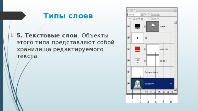 Типы слоев 5. Текстовые слои . Объекты этого типа представляют собой хранилища редактируемого текста. 