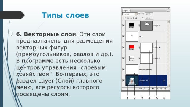 Layer type. Векторный слой. Векторный и растровый слой. Слои в векторной графике. Векторный слой в фотошоп.