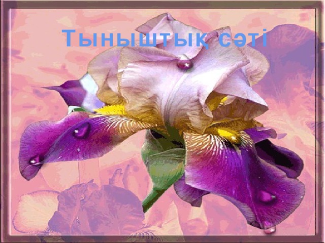 Тыныштық сәті 