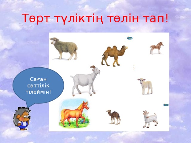 Төрт түліктің төлін тап! Саған сәттілік тілеймін! 