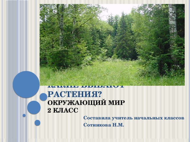 Какие бывают растения?  Окружающий мир  2 класс Составила учитель начальных классов Сотникова Н.М. 