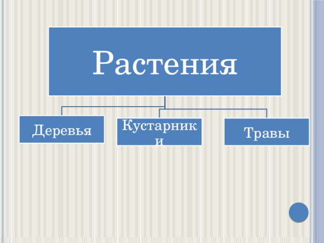 Растения Деревья Кустарники Травы 
