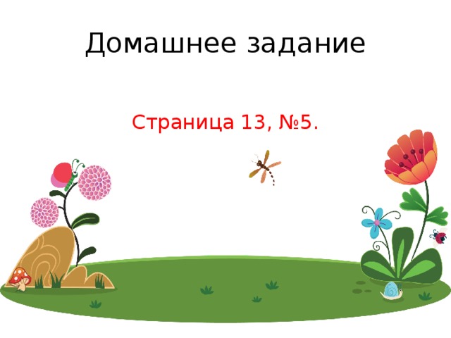 Домашнее задание Страница 13, №5. 