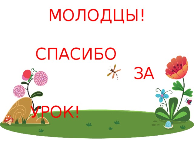 МОЛОДЦЫ!  СПАСИБО  ЗА  УРОК! 