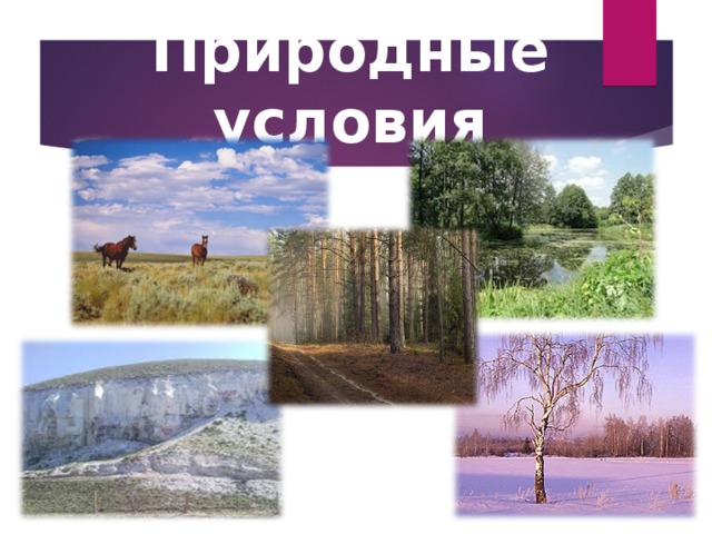 Природные условия