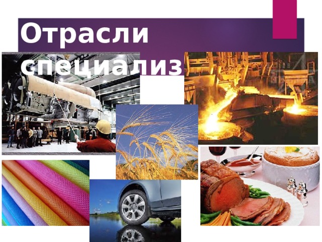 Отрасли специализации