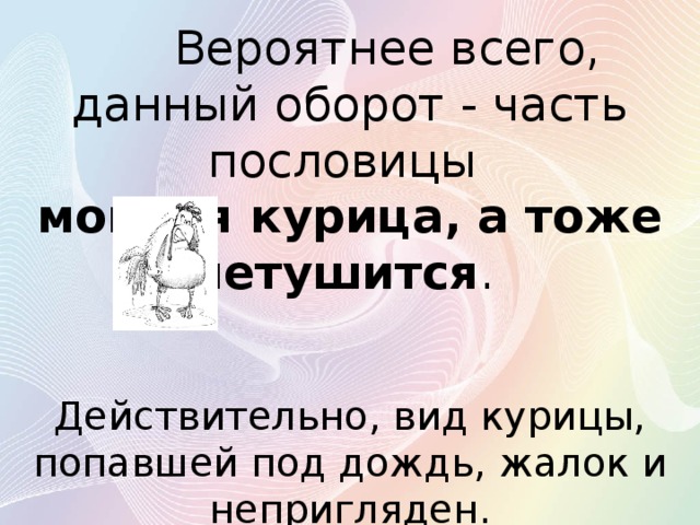  Вероятнее всего, данный оборот - часть пословицы мокрая курица, а тоже петушится . Действительно, вид курицы, попавшей под дождь, жалок и непригляден. 