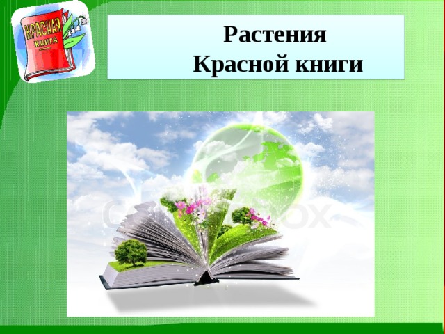 Растения Красной книги Растения Красной книги Растения Красной книги 