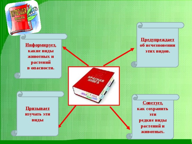 Предупреждает об исчезновении этих видов. Информирует, какие виды животных и растений в опасности. Призывает изучать эти виды Советует, как сохранить эти редкие виды растений и животных. 