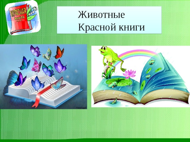 Животные Красной книги Животные Красной книги Животные Красной книги 