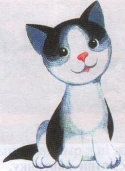 Пьеньуардағы блять