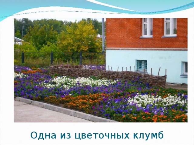 Одна из цветочных клумб 