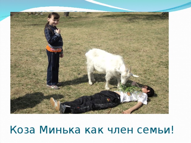 Коза Минька как член семьи! 
