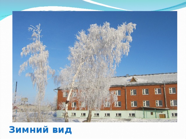 Зимний вид 