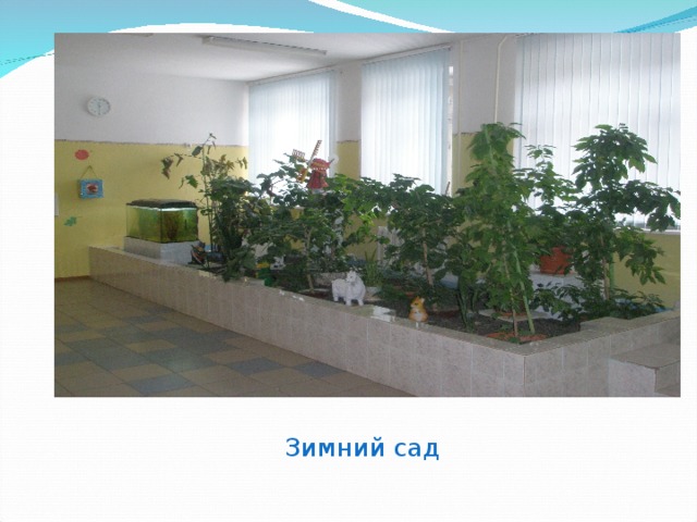 Зимний сад 