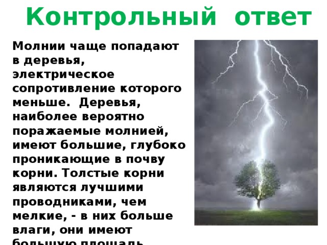 Молния примета. Молния в дерево. Молния попала в дерево. Попадание молнии в дерево. Молния в виде дерева.