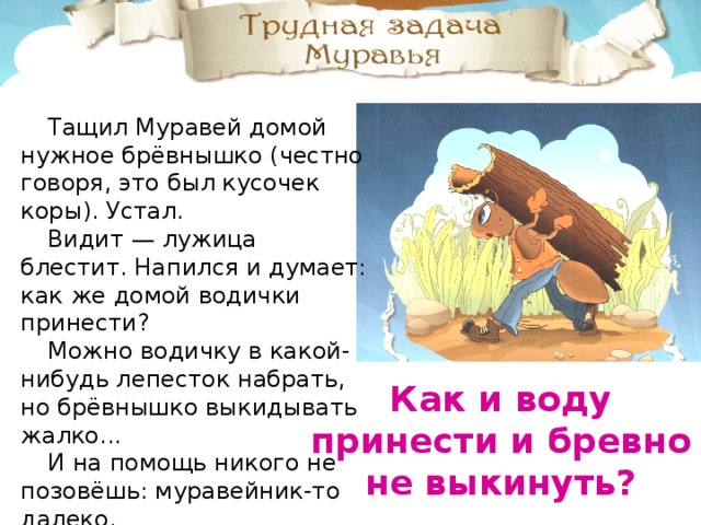 Тащил Муравей домой нужное брёвнышко (честно говоря, это был кусочек коры). Устал. Видит — лужица блестит. Напился и думает: как же домой водички принести? Можно водичку в какой-нибудь лепесток набрать, но брёвнышко выкидывать жалко... И на помощь никого не позовёшь: муравейник-то далеко. Как и воду принести и бревно не выкинуть? 