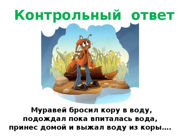 Контрольный ответ Муравей бросил кору в воду, подождал пока впиталась вода, принес домой и выжал воду из коры…. 