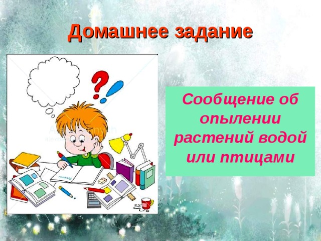 Домашнее задание Сообщение об опылении растений водой или птицами