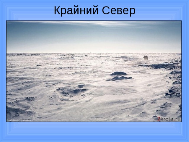 Крайний Север 