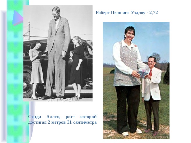 Роберт Першинг Уэдлоу - 2,72 Сэнди Аллен, рост которой достигал 2 метров 31 сантиметра 