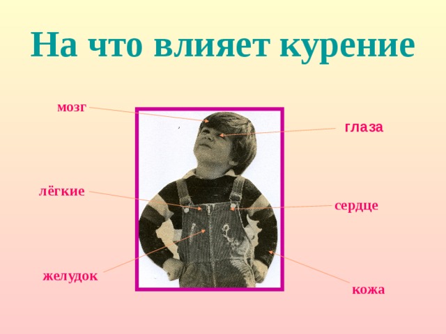 На что влияет курение мозг мозг мозг мозг мозг глаза глаза глаза глаза глаза лёгкие лёгкие лёгкие лёгкие лёгкие сердце сердце сердце сердце сердце желудок желудок желудок желудок желудок кожа кожа кожа кожа кожа 