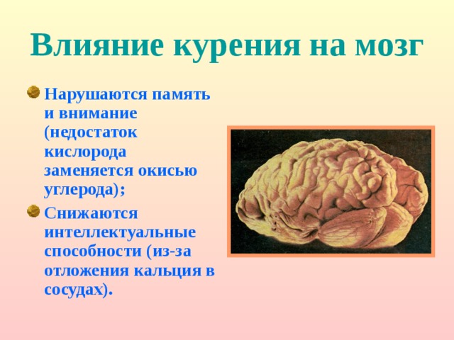 Влияние курения на мозг Нарушаются память и внимание (недостаток кислорода заменяется окисью углерода); Снижаются интеллектуальные способности (из-за отложения кальция в сосудах). 