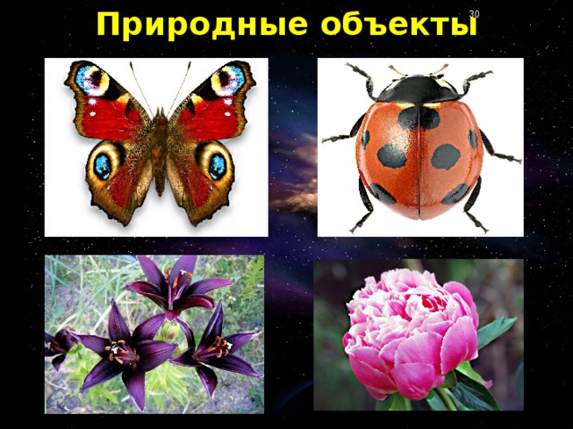 Природные объекты
