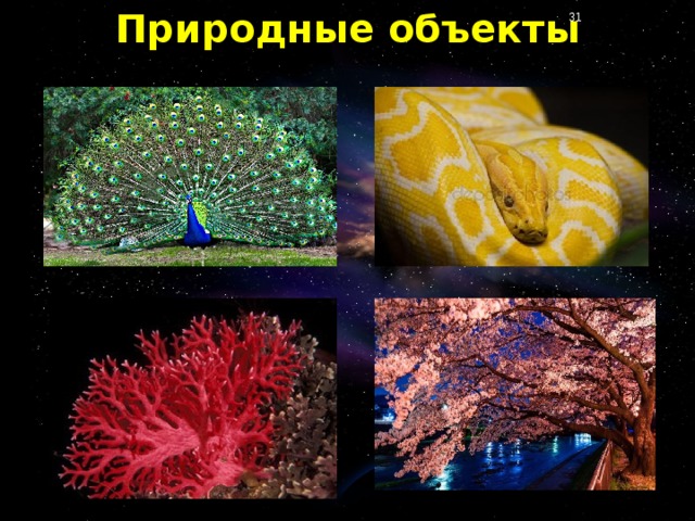 Природные объекты