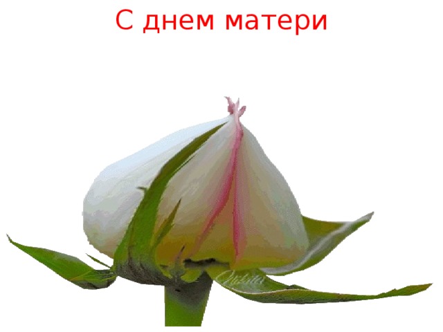 С днем матери 