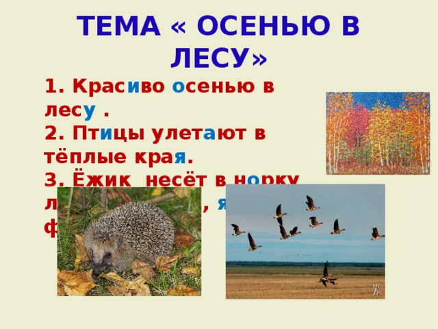 ТЕМА « ОСЕНЬЮ В ЛЕСУ» 1. Крас и во о сенью в лес у . 2. Пт и цы улет а ют в тёплые кра я . 3. Ёжик несёт в н о рку л и стья, гриб ы , я годы, фр у кты. 