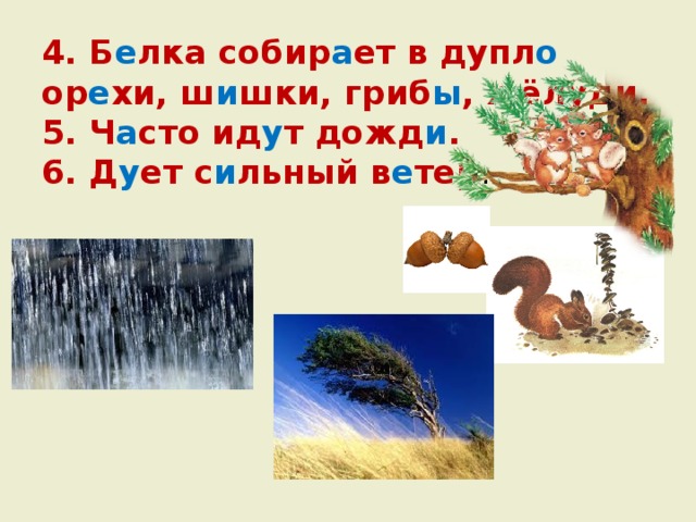 4. Б е лка собир а ет в дупл о ор е хи, ш и шки, гриб ы , жёлуди.  5. Ч а сто ид у т дожд и .  6. Д у ет с и льный в е тер . 