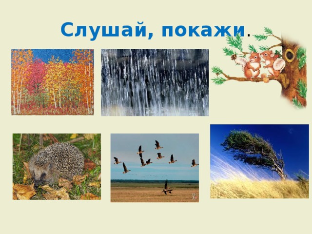 Слушай, покажи . 