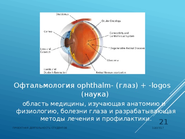 Офтальмология  ophthalm- (глаз) + -logos (наука)  область медицины, изучающая анатомию и физиологию, болезни глаза и разрабатывающая методы лечения и профилактики.  12/27/17 ПРОЕКТНАЯ ДЕЯТЕЛЬНОСТЬ СТУДЕНТОВ 
