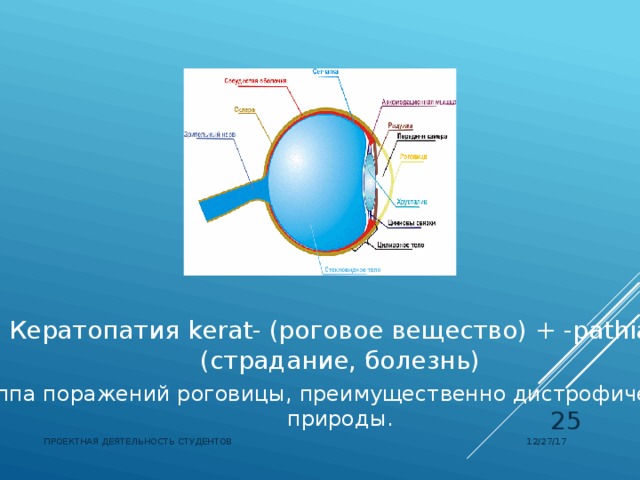 Кератопатия  kerat- (роговое вещество) + -pathia (страдание, болезнь) группа поражений роговицы, преимущественно дистрофической природы.  12/27/17 ПРОЕКТНАЯ ДЕЯТЕЛЬНОСТЬ СТУДЕНТОВ 