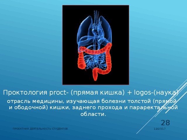 Проктология  proct- (прямая кишка) + logos-(наука)  отрасль медицины, изучающая болезни толстой (прямой и ободочной) кишки, заднего прохода и параректальной области .  12/27/17 ПРОЕКТНАЯ ДЕЯТЕЛЬНОСТЬ СТУДЕНТОВ 
